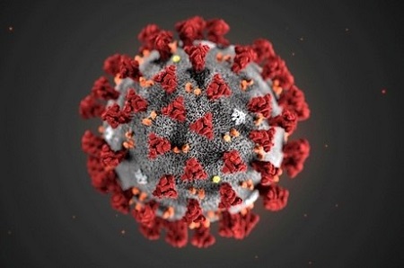 Coronavirus