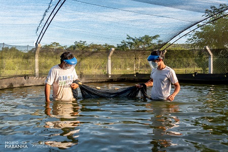 Projeto Piabanha lança a campanha “Em defesa dos rios, em defesa da vida”