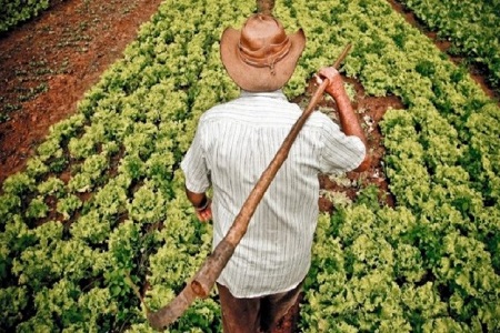 Agricultura Região Serrana