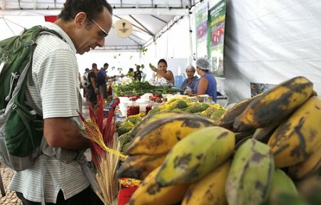 Novos prefeitos são orientados a investir mais em compras de empreendedores locais