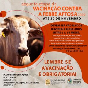 Segunda Etapa da Campanha de Vacinação contra Febre Aftosa