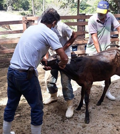 Secretaria de Agricultura atende prioridades dos produtores rurais de Carmo