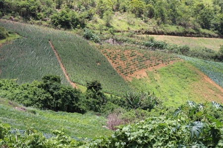 Nova Friburgo conta com 4 mil agricultores e 2.057 estabelecimentos agropecuários