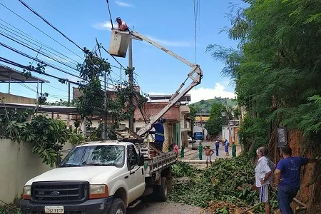 Árvore de grande porte é removida em Itaocara