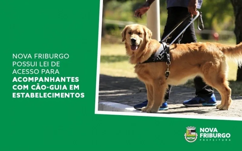 Nova Friburgo possui lei que permite acesso de cão-guia em estabelecimentos