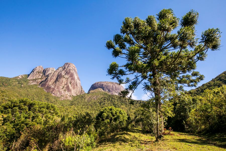 Parque Estadual Três Picos. Foto: Rafael Campos