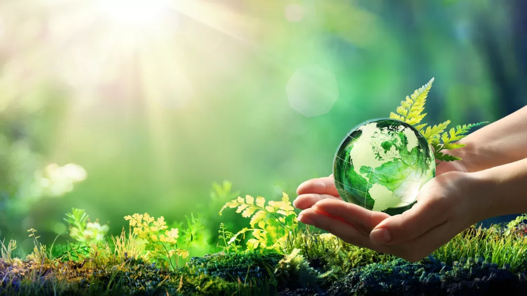 Ecologia