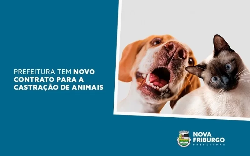 Prefeitura de Nova Friburgo tem novo contrato para a castração de animais