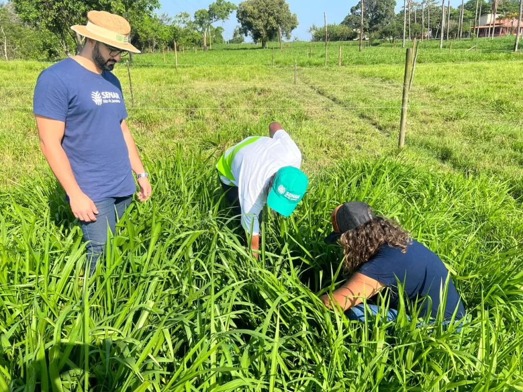 Cursos técnicos do Serviço de Aprendizagem Rural