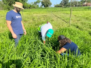 Cursos técnicos do Serviço de Aprendizagem Rural