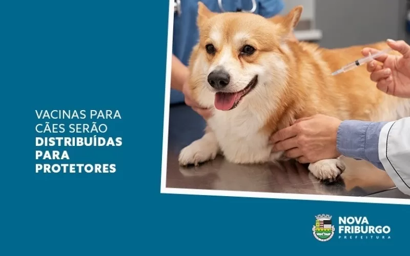 Vacinas para cães serão distribuídas para protetores