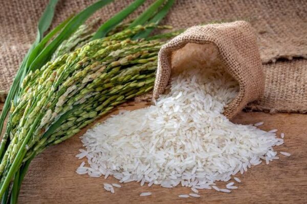 Governo federal decide realizar a importação de arroz