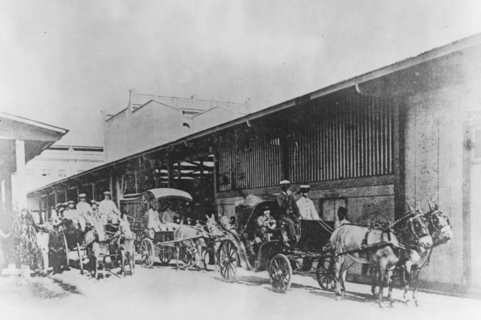 Foto de capa: Serviço de Profilaxia da febre amarela: partida de uma turma para isolamento de um doente, 1904. Rio de Janeiro, RJ / Acerco Casa de Oswaldo Cruz