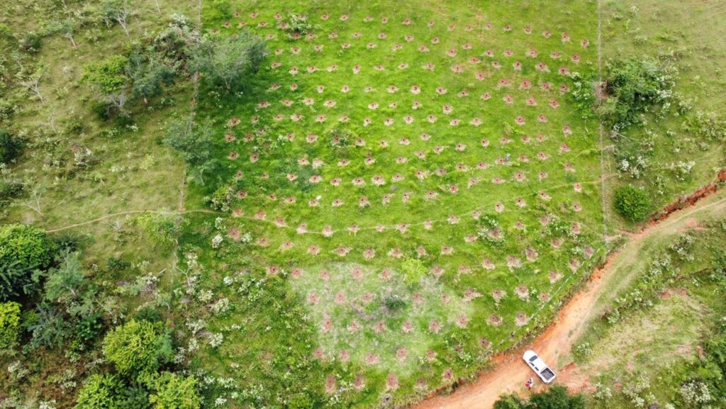 Rural Park, em Macuco, terá o plantio de 500 mudas de espécies nativas da Mata Atlântica