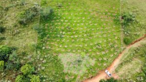 Rural Park, em Macuco, terá o plantio de 500 mudas de espécies nativas da Mata Atlântica