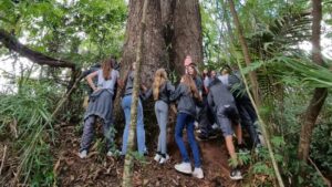 Caminhada ecológica foi realizada no Parque de Bom Jardim