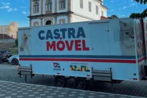 Prefeitura do Carmo coloca castramóvel em atendimento aos cães e gatos
