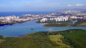 Foto: Secretaria de Estado do Ambiente/RJ / Divulgação
