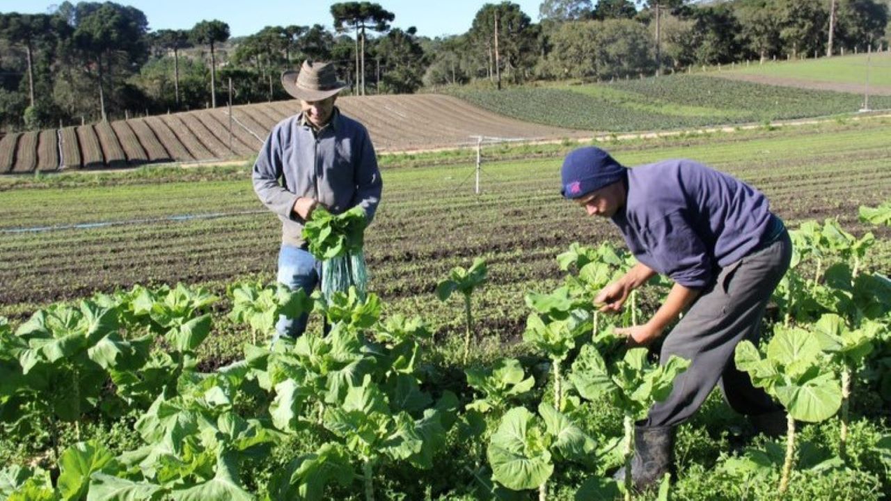 Programa Nacional de Fortalecimento da Agricultura Familiar