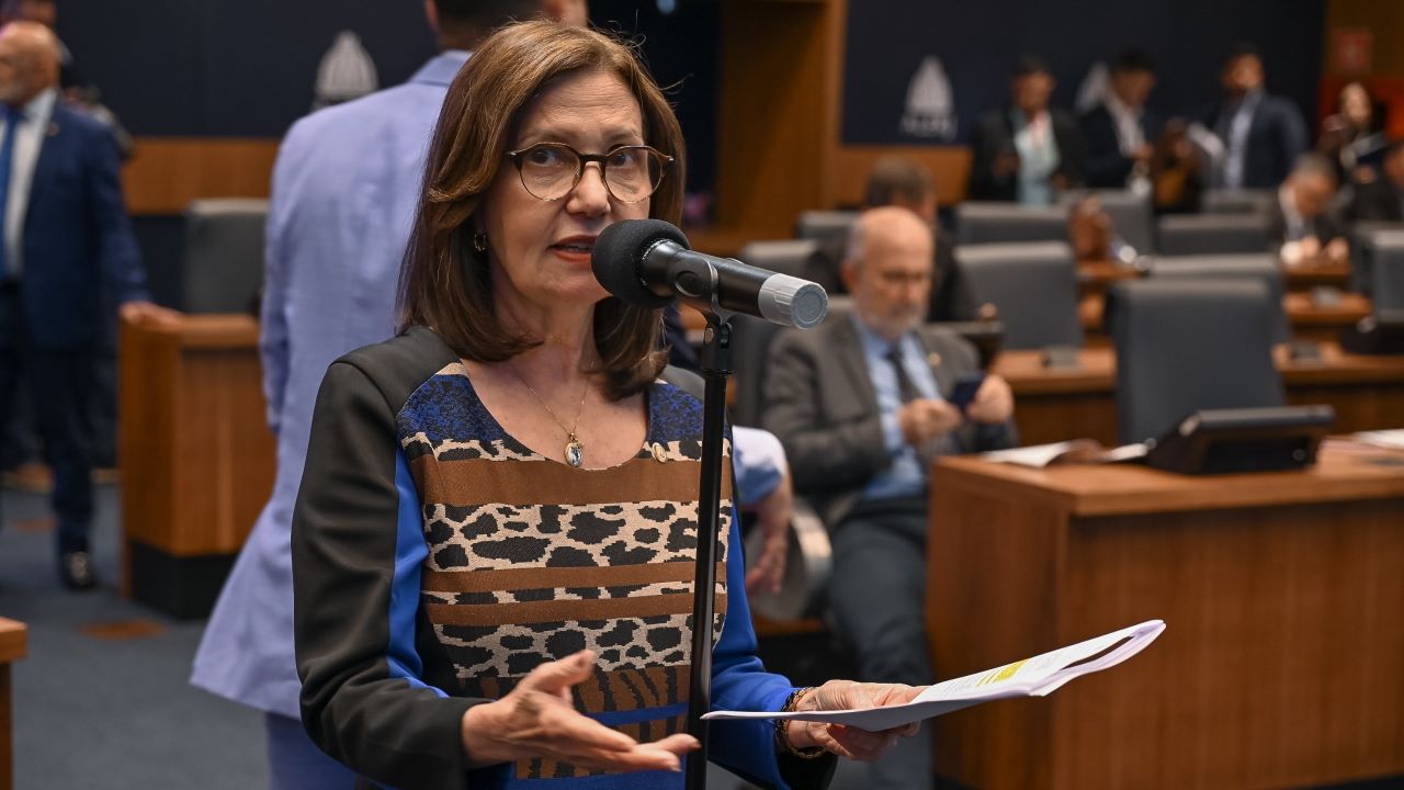 Deputada Martha Rocha (PDT)