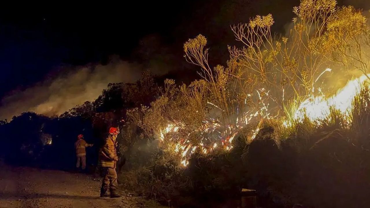 Corpo de Bombeiros extinguiu mais de 1 mil incêndios florestais