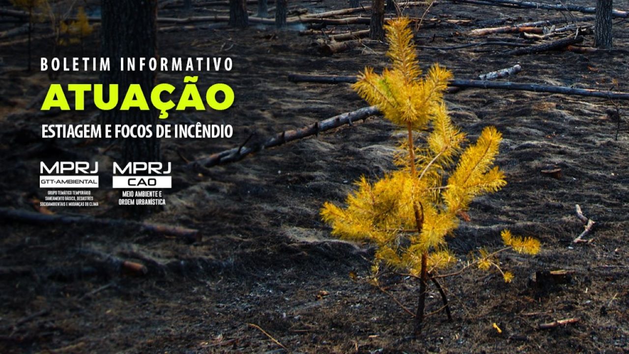 Ministério Público divulga atuação do Grupo Ambiental nos casos de estiagem e incêndios florestais