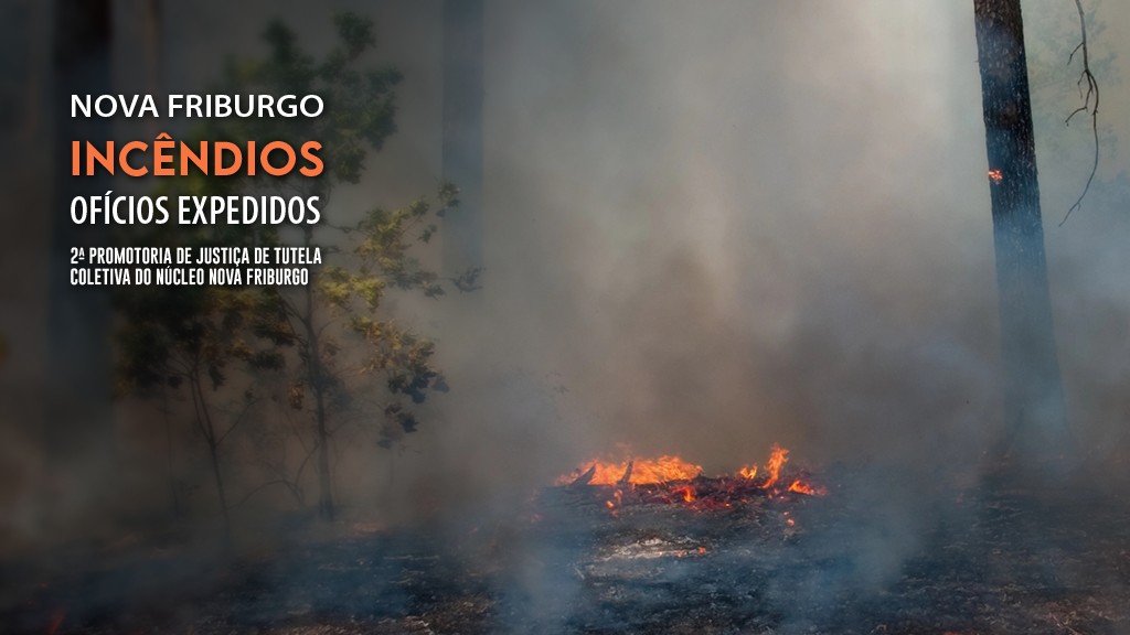 Ministério Público quer informações sobre as medidas de prevenção e combate aos focos de incêndio adotadas em Nova Friburgo