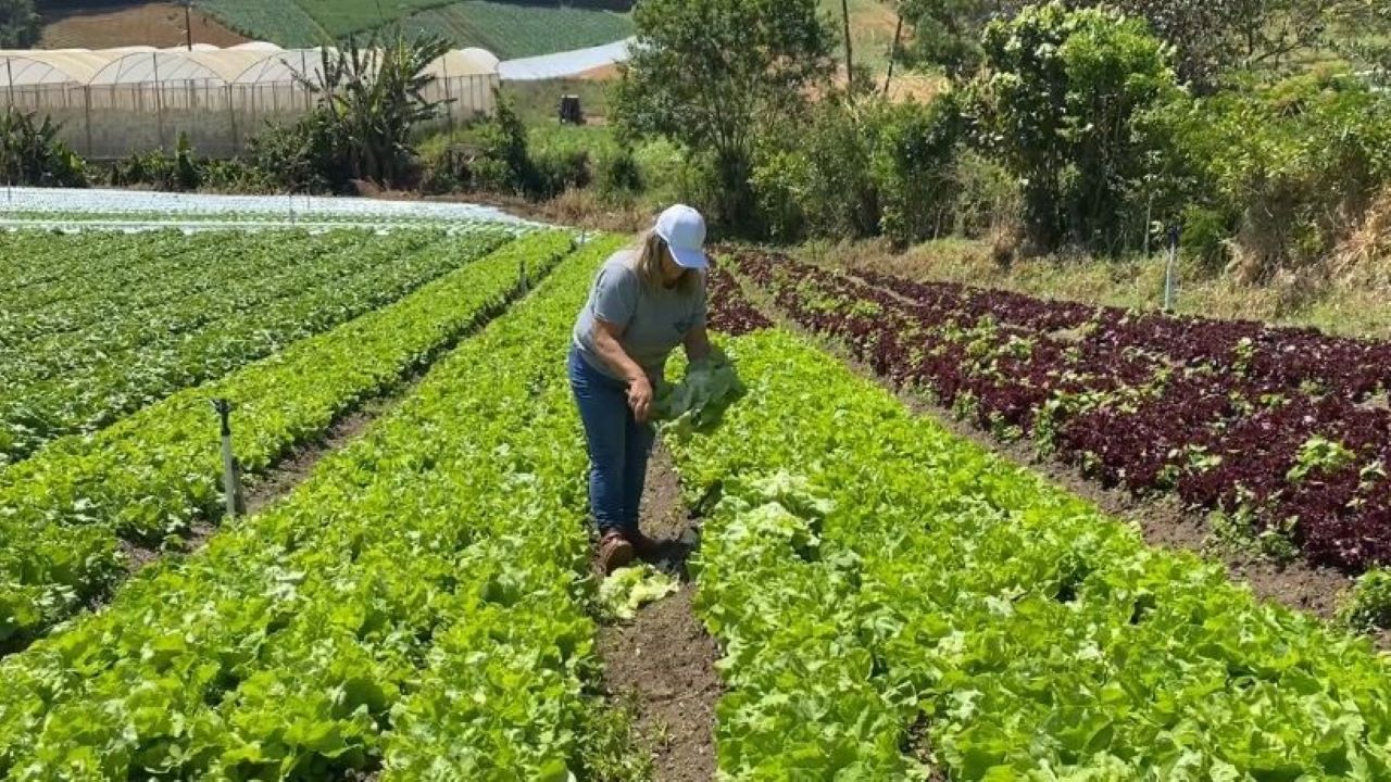 Secretaria de Agricultura celebra o Dia Internacional das Mulheres Rurais