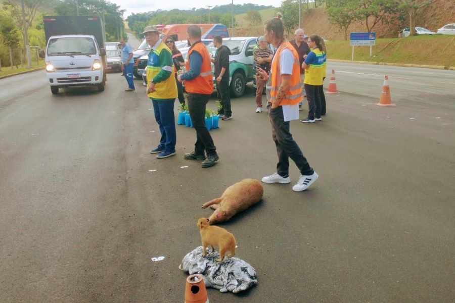 Blitz Ambiental é realizada na Rota 116