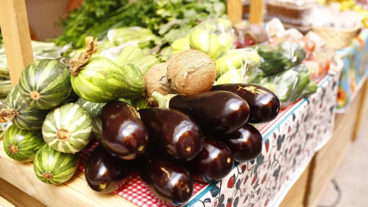 Lei que cria Programa para a Aquisição de Alimentos da Agricultura Familiar, Pequenos Produtores e Pescadores Artesanais é sancionada