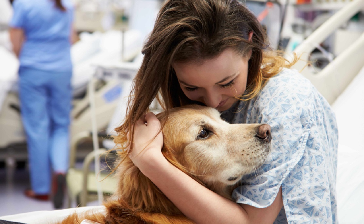 Ministério Público autoriza ingresso de animais de suporte emocional em suas dependências