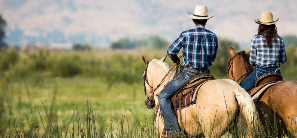 Dia da cavalgada entra no Calendário Oficial do estado