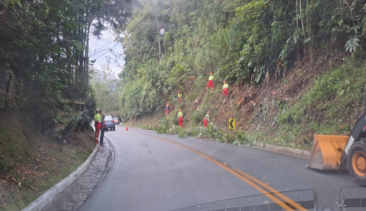 Rota-116 realiza poda de árvores no km-67 em Nova Friburgo