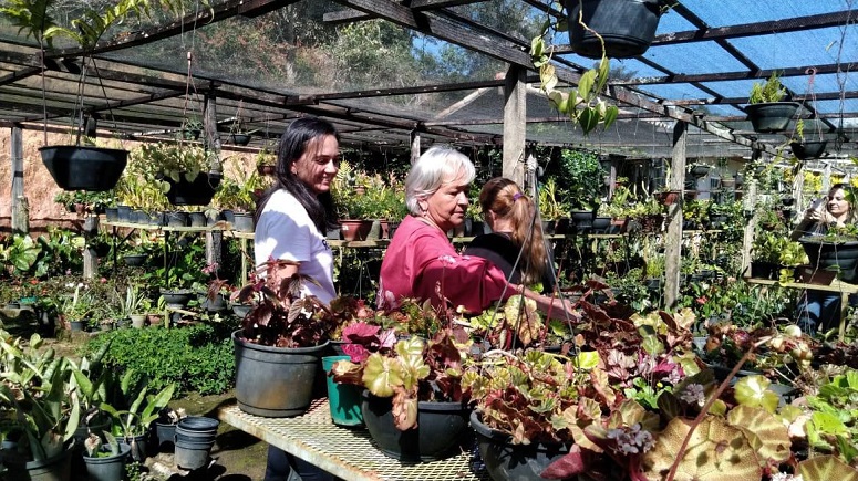 Dia das Mães: Governo do Rio impulsiona floricultura com programa de incentivo