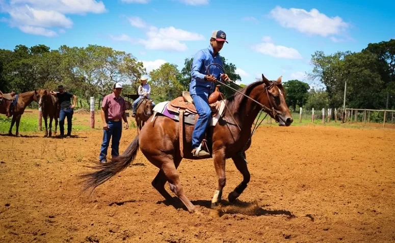 Cordeiro terá curso de rédeas em equinos