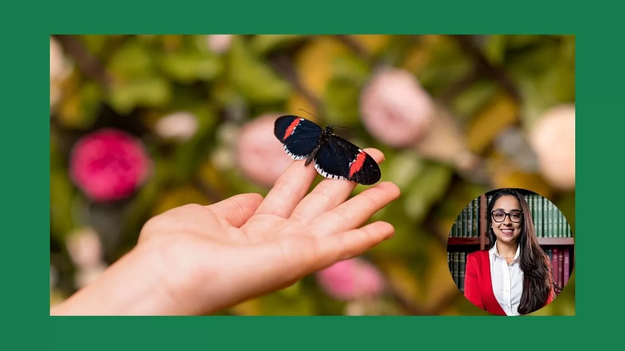 “Somos borboletas e a gente talvez nem saiba”, por Amanda de Moraes