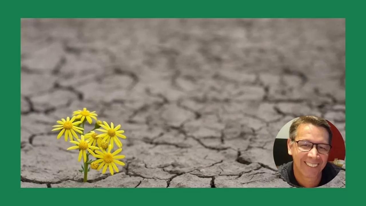 “Dobrar sem quebrar: o poder da resiliência nas tempestades da vida”, por Jalme Pereira