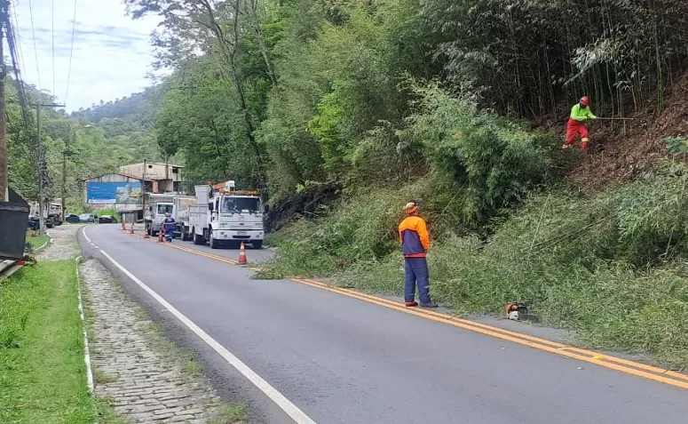 Rota realiza poda em ponte da Saudade e trecho ficará em Pare e Siga