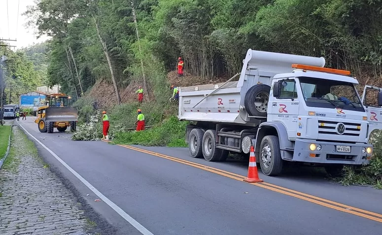 Rota realiza serviços de manutenção e melhorias operacionais na rodovia RJ-116