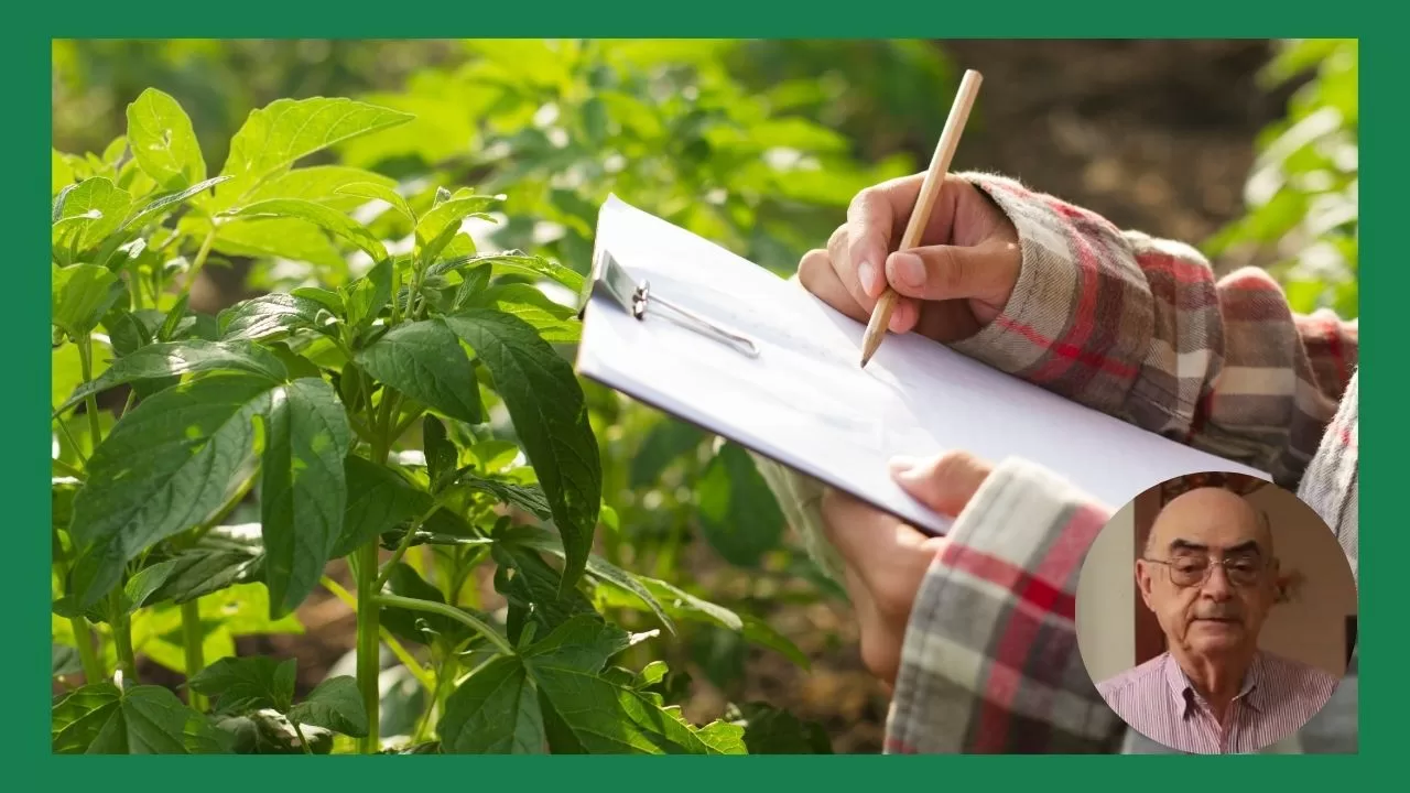 “A Vocação Agropecuária de Cantagalo” por Julio Carvalho