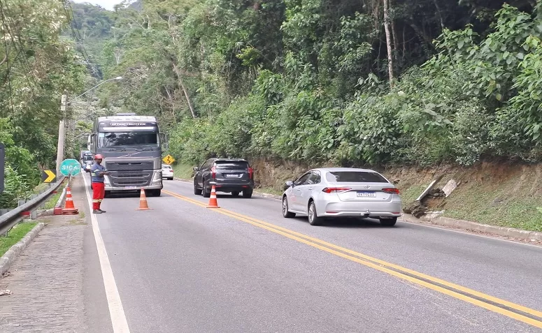 Rota 116 realiza poda preventiva de árvores no km 73 da RJ-116, em Mury