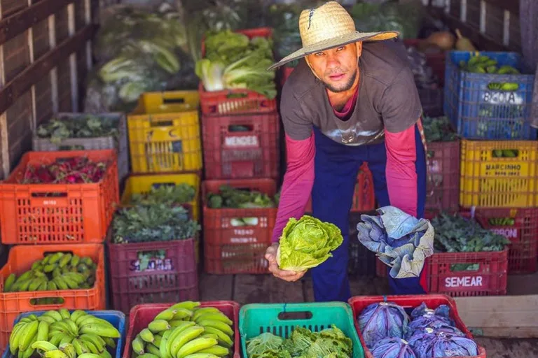 Governo do Brasil abre seleção de municípios para execução do Programa de Aquisição de Alimentos em 2026