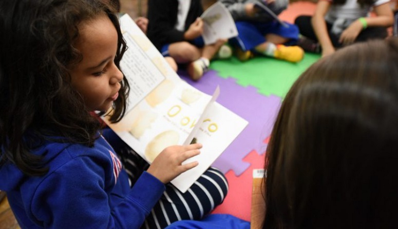 Livros: escolas públicas de educação infantil podem escolher acervo de 2027-2029