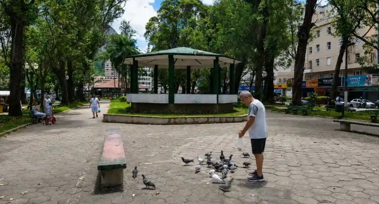 Do símbolo da paz à preocupação com a saúde: a presença dos pombos nas cidades